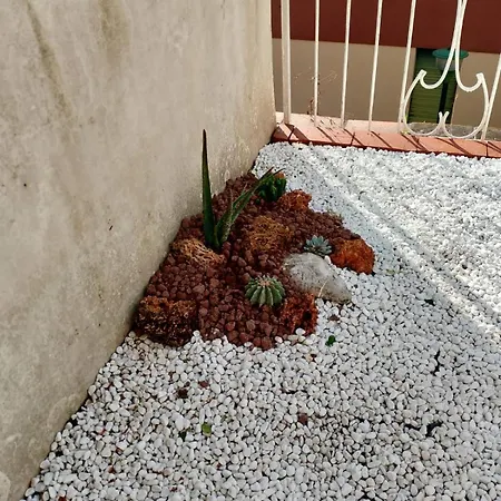 Oasi Apartmán *
