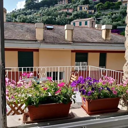Oasi Apartmán *